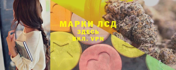 PSILOCYBIN Алзамай